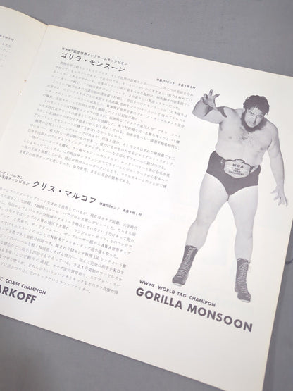 69第11回ワールド大リーグ戦