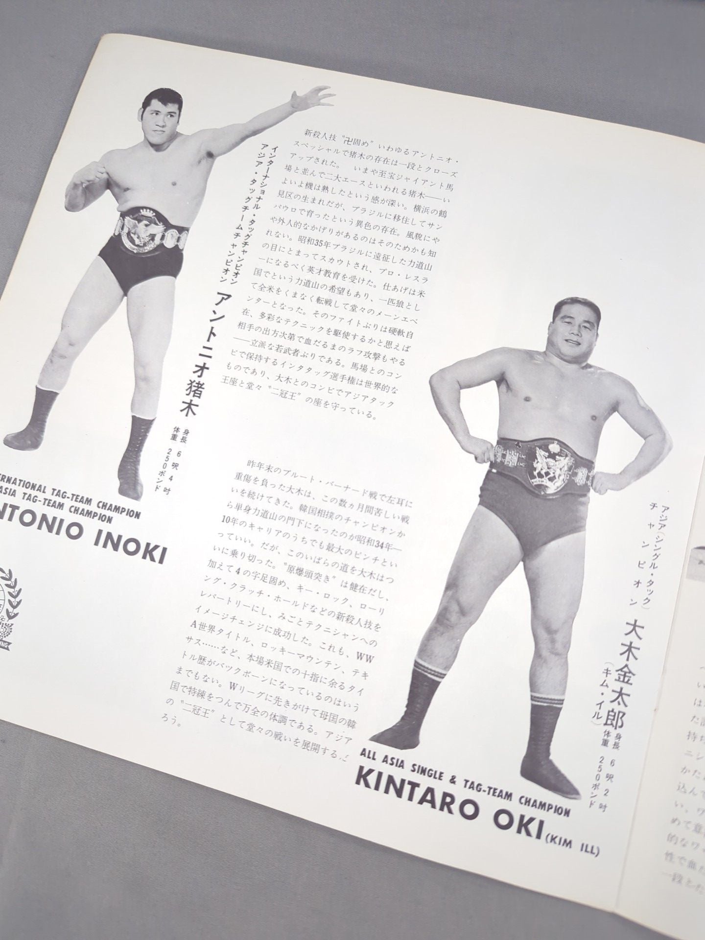 69第11回ワールド大リーグ戦