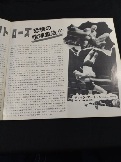 73ビッグサマーシリーズ