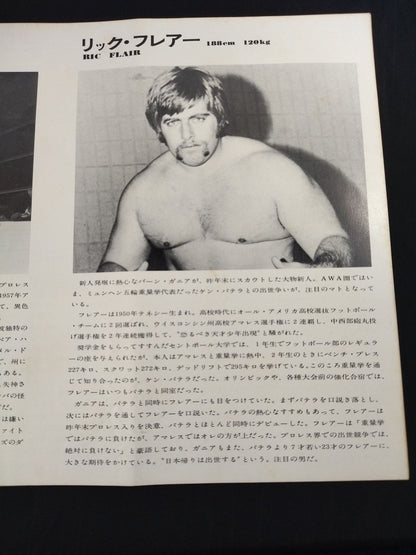 73ビッグサマーシリーズ