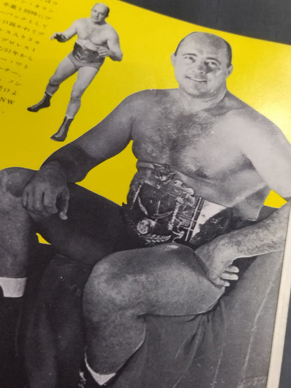 73第5回IWAワールド・シリーズ