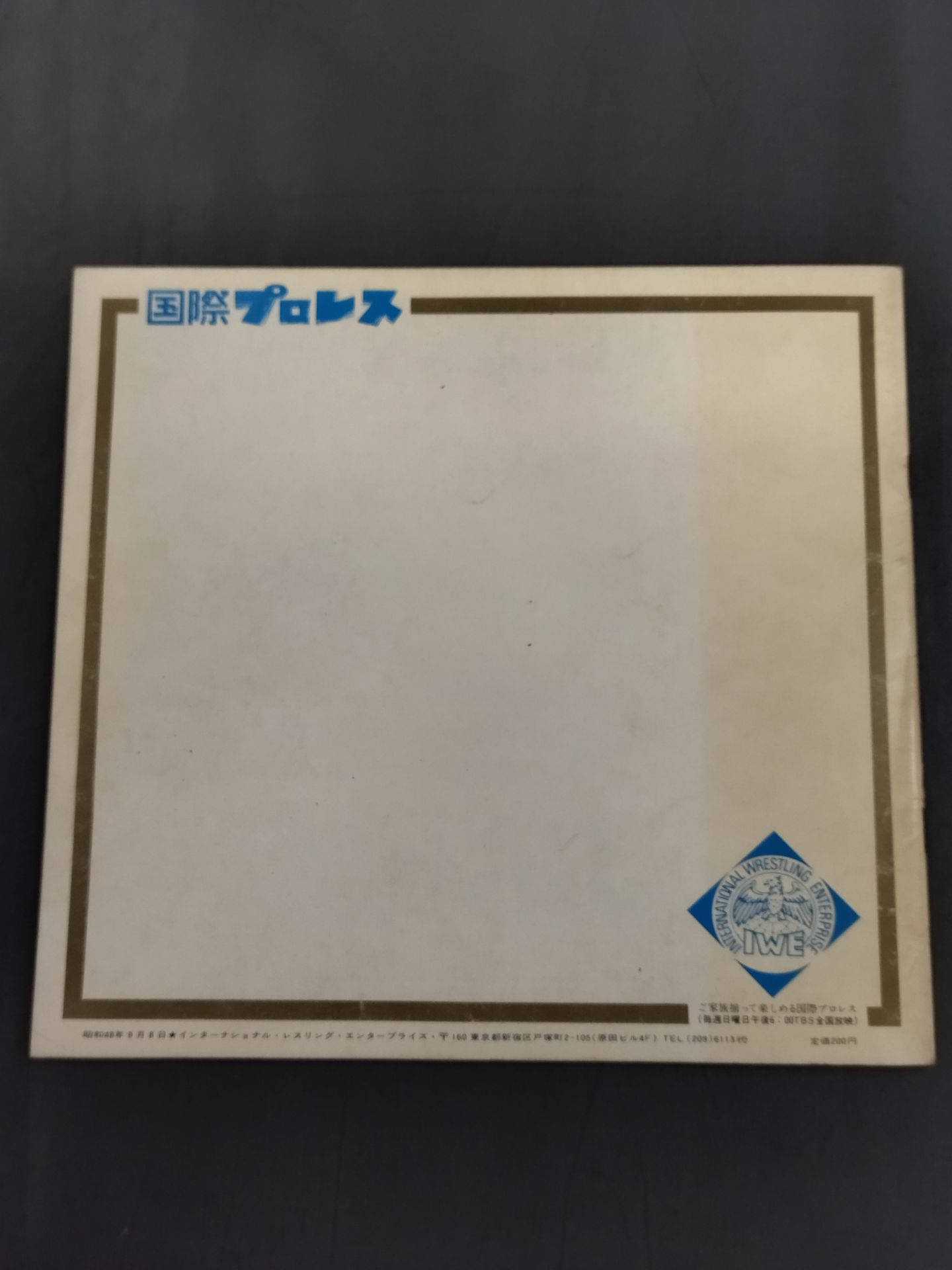 73第5回IWAワールド・シリーズ