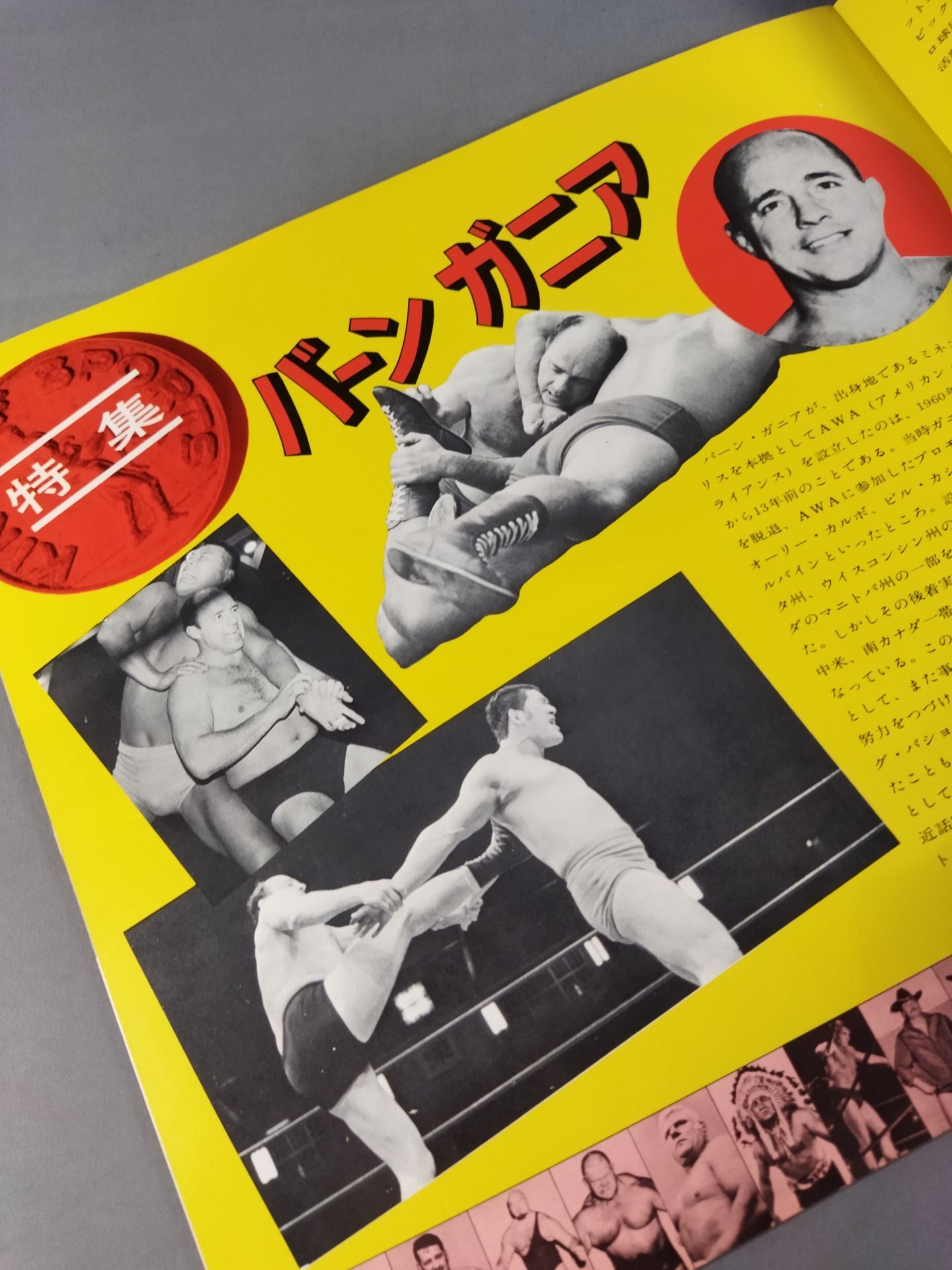 73第5回IWAワールド・シリーズ