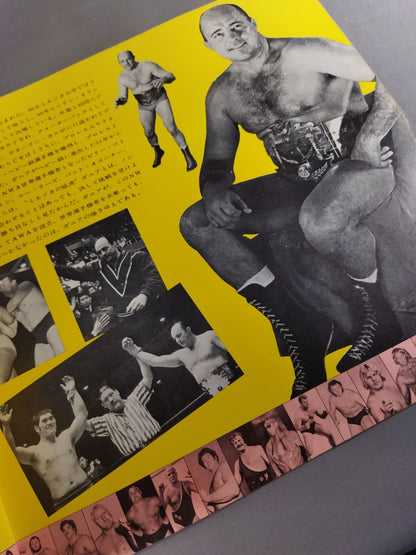 73第5回IWAワールド・シリーズ