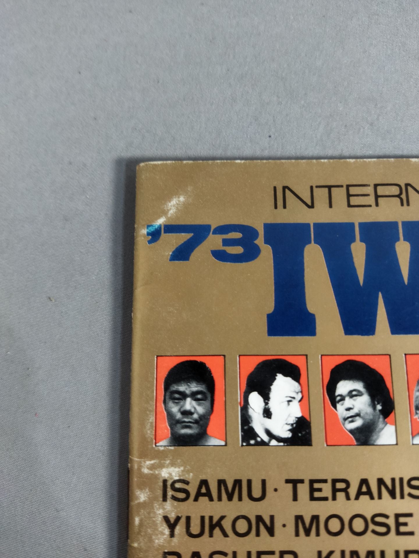 73第5回IWAワールド・シリーズ