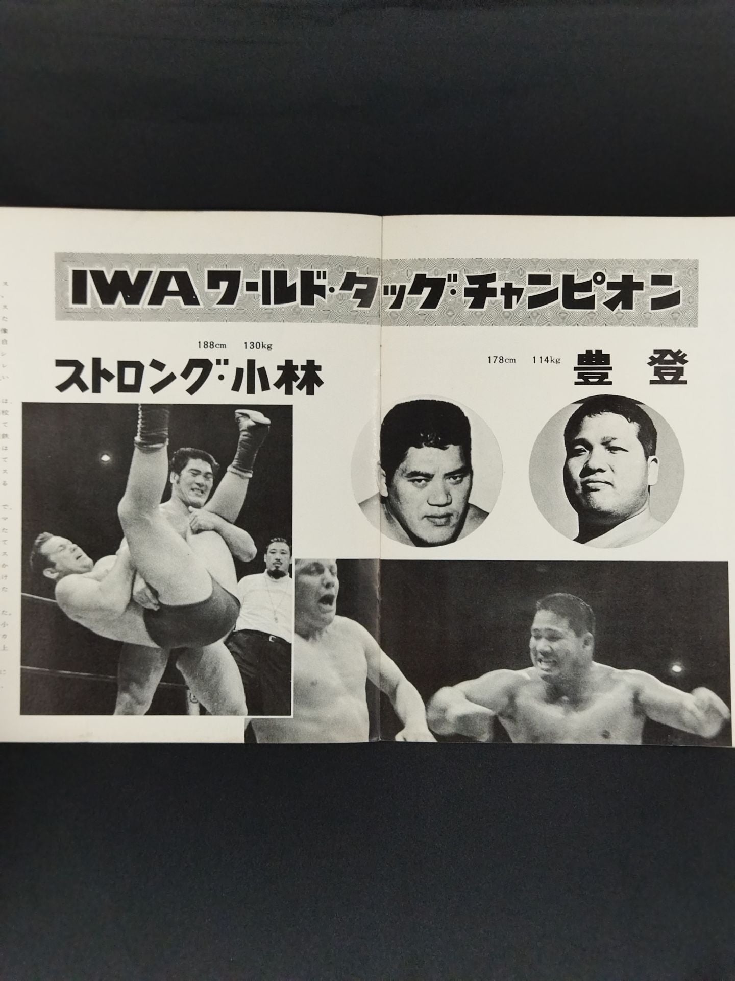69IWAワールドタッグ挑戦シリーズ