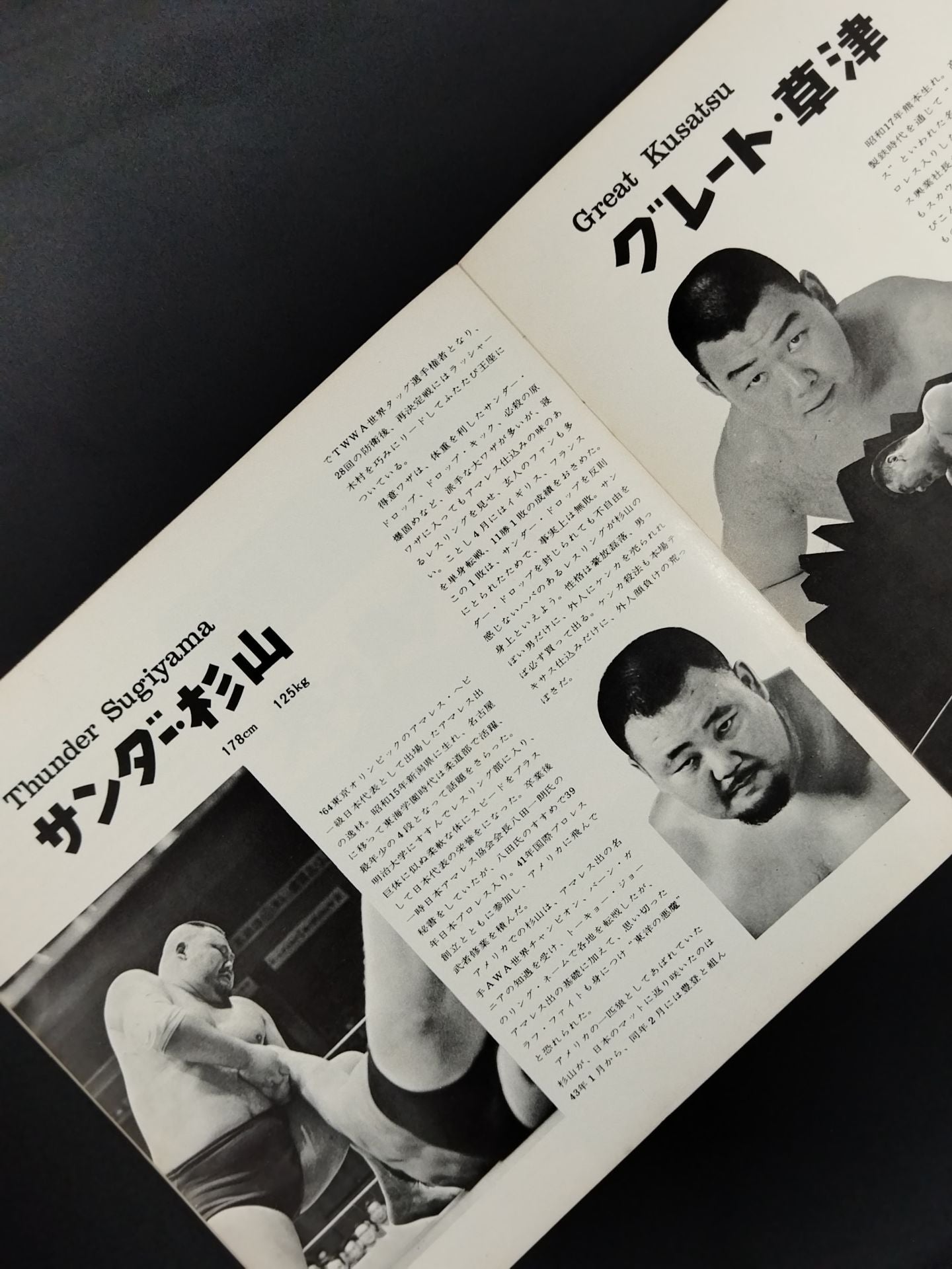 69IWAワールドタッグ挑戦シリーズ