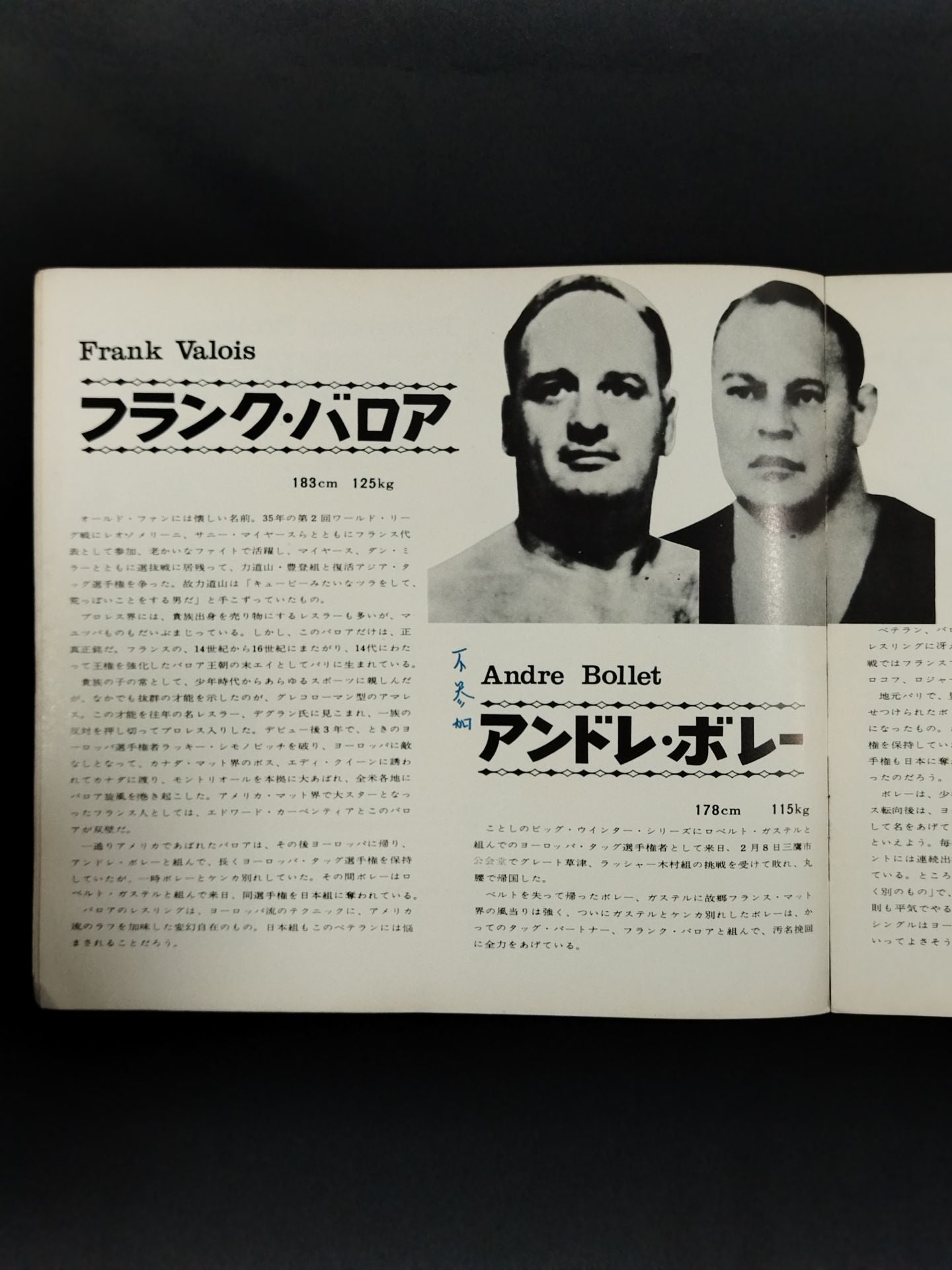 69IWAワールドタッグ挑戦シリーズ