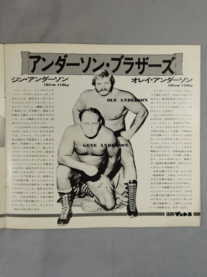 73ビッグウィンターシリーズ