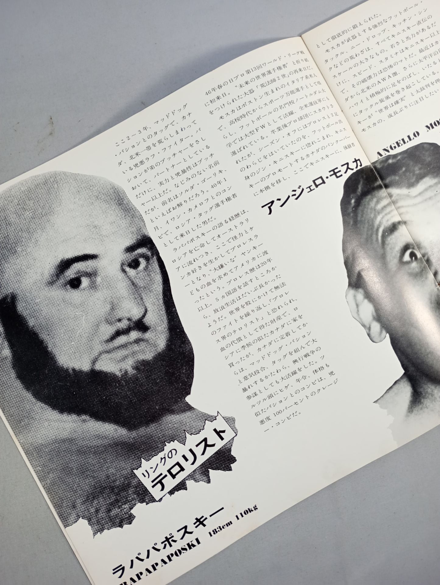 【2選手直筆サイン入り】73チャレンジシリーズ