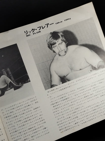 73ビッグサマーシリーズ