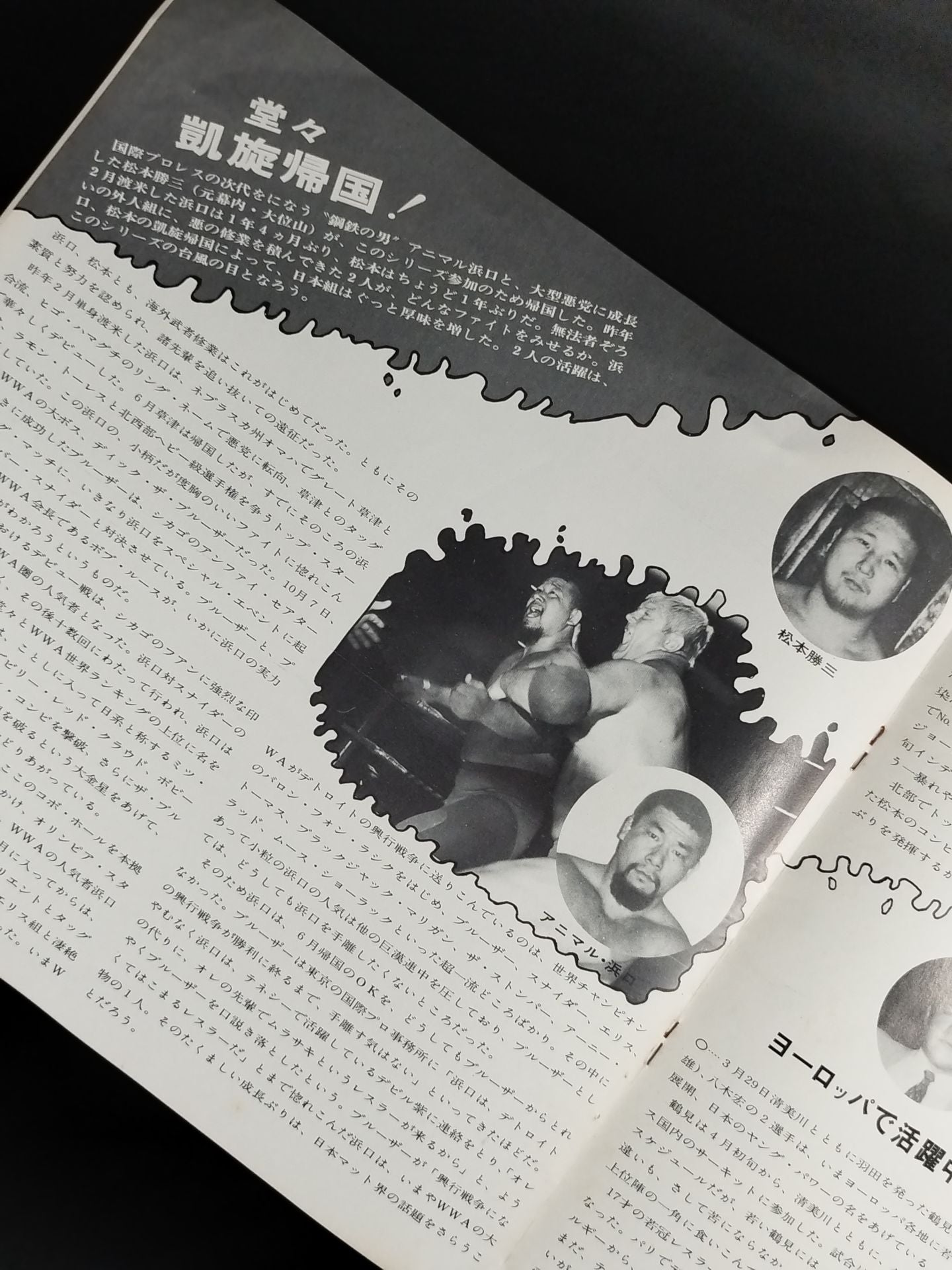 73ビッグサマーシリーズ