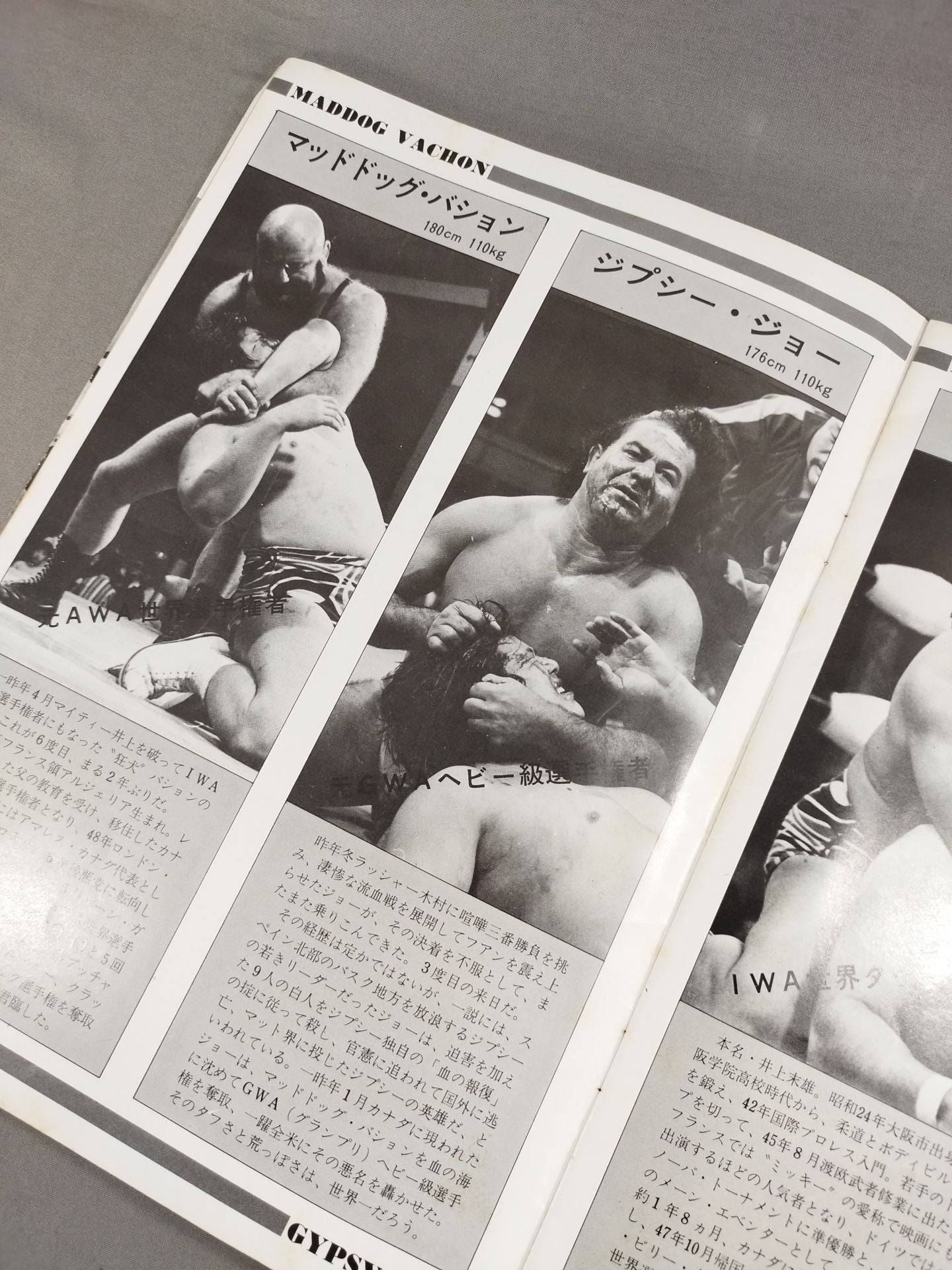 【Animal Hamaguchi hand signed autograph 】★ Finals ★ 77The 6th IWA World Series / 1st IWA Tag Team Tournament