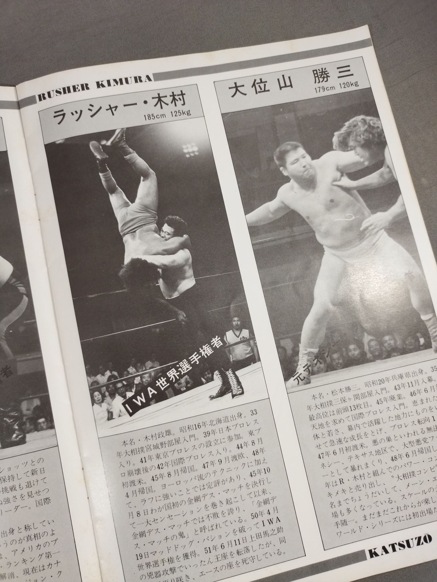 【Animal Hamaguchi hand signed autograph 】★ Finals ★ 77The 6th IWA World Series / 1st IWA Tag Team Tournament