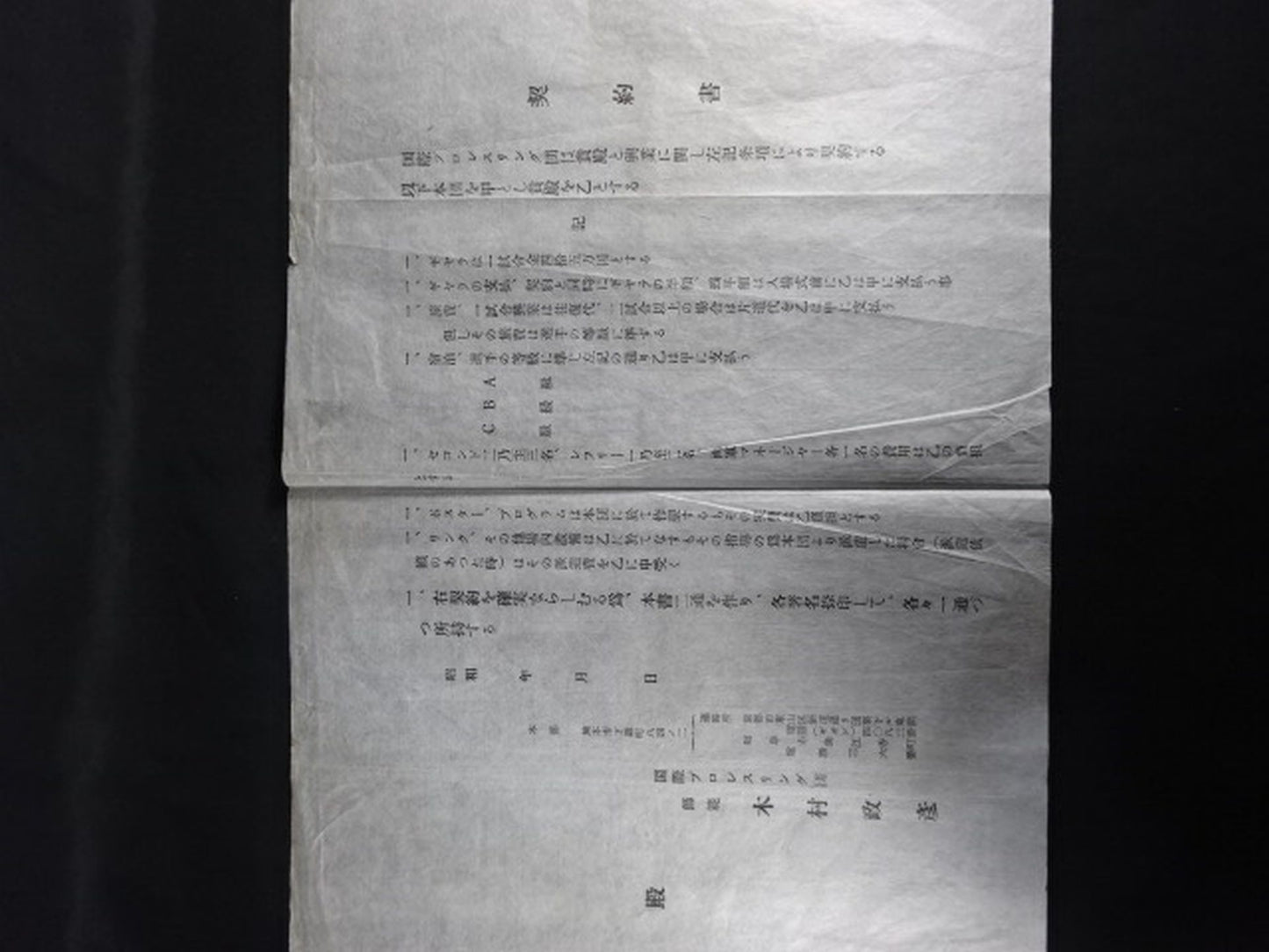 ★国際プロレスリング団★ 日米対抗大試合 プロ・レスリング