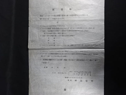 ★国際プロレスリング団★ 日米対抗大試合 プロ・レスリング