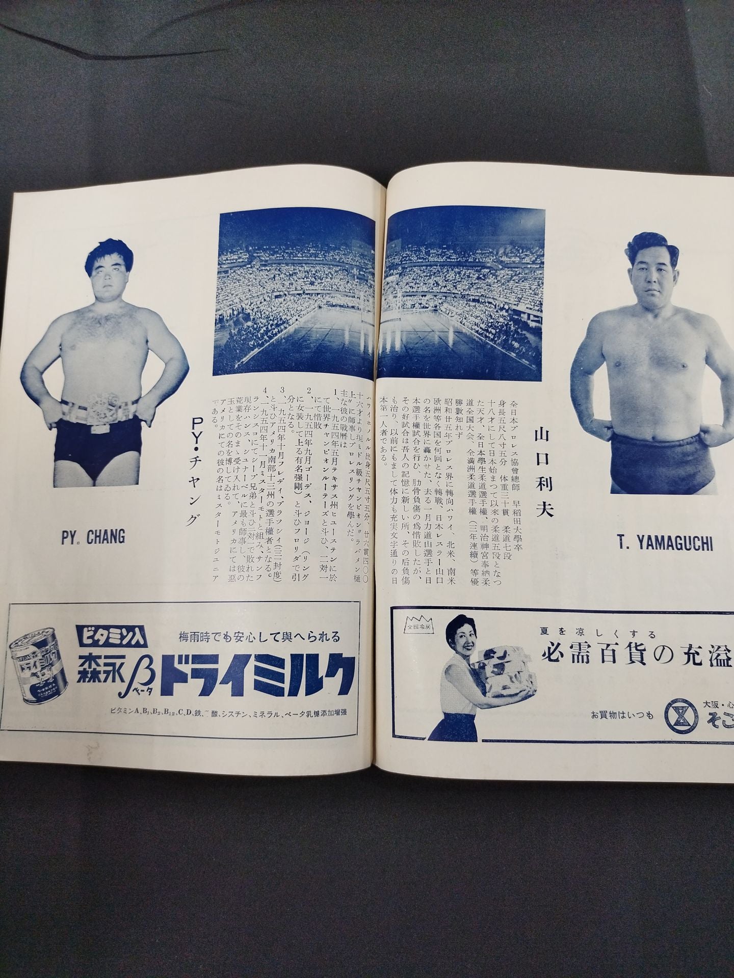 全日本プロレス協会 / プロレス挑戦大試合