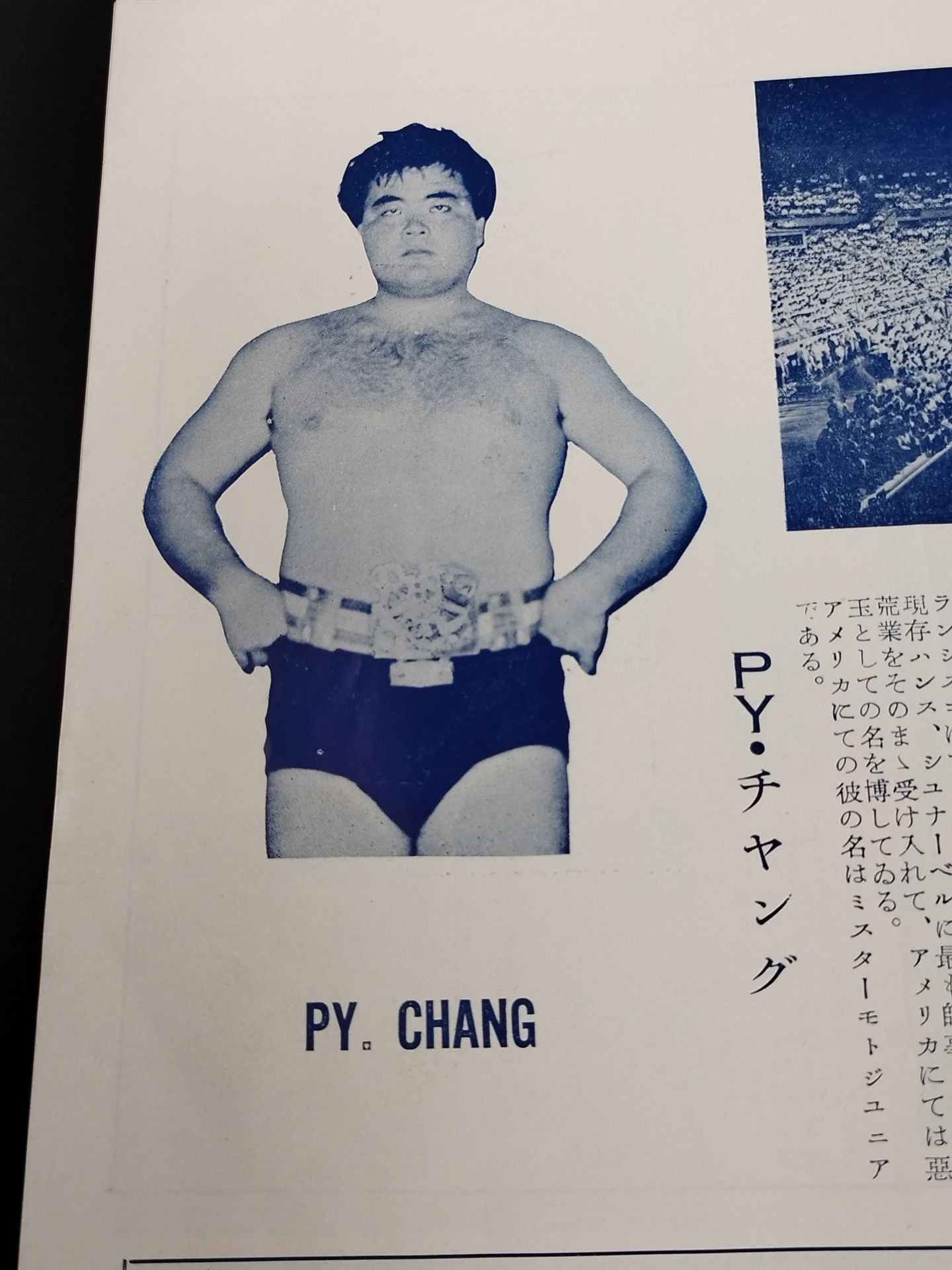 全日本プロレス協会 / プロレス挑戦大試合