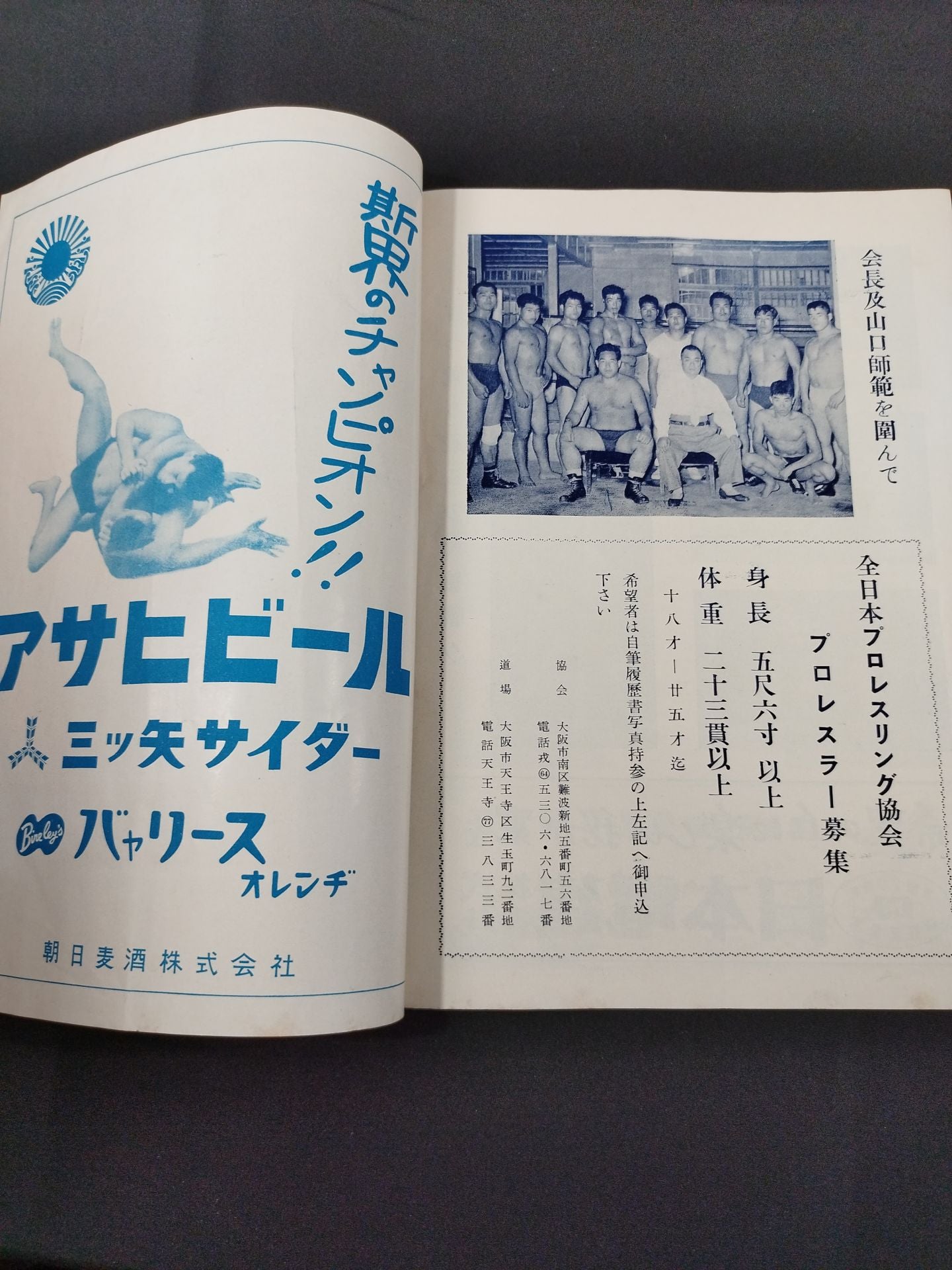 全日本プロレス協会 / プロレス挑戦大試合