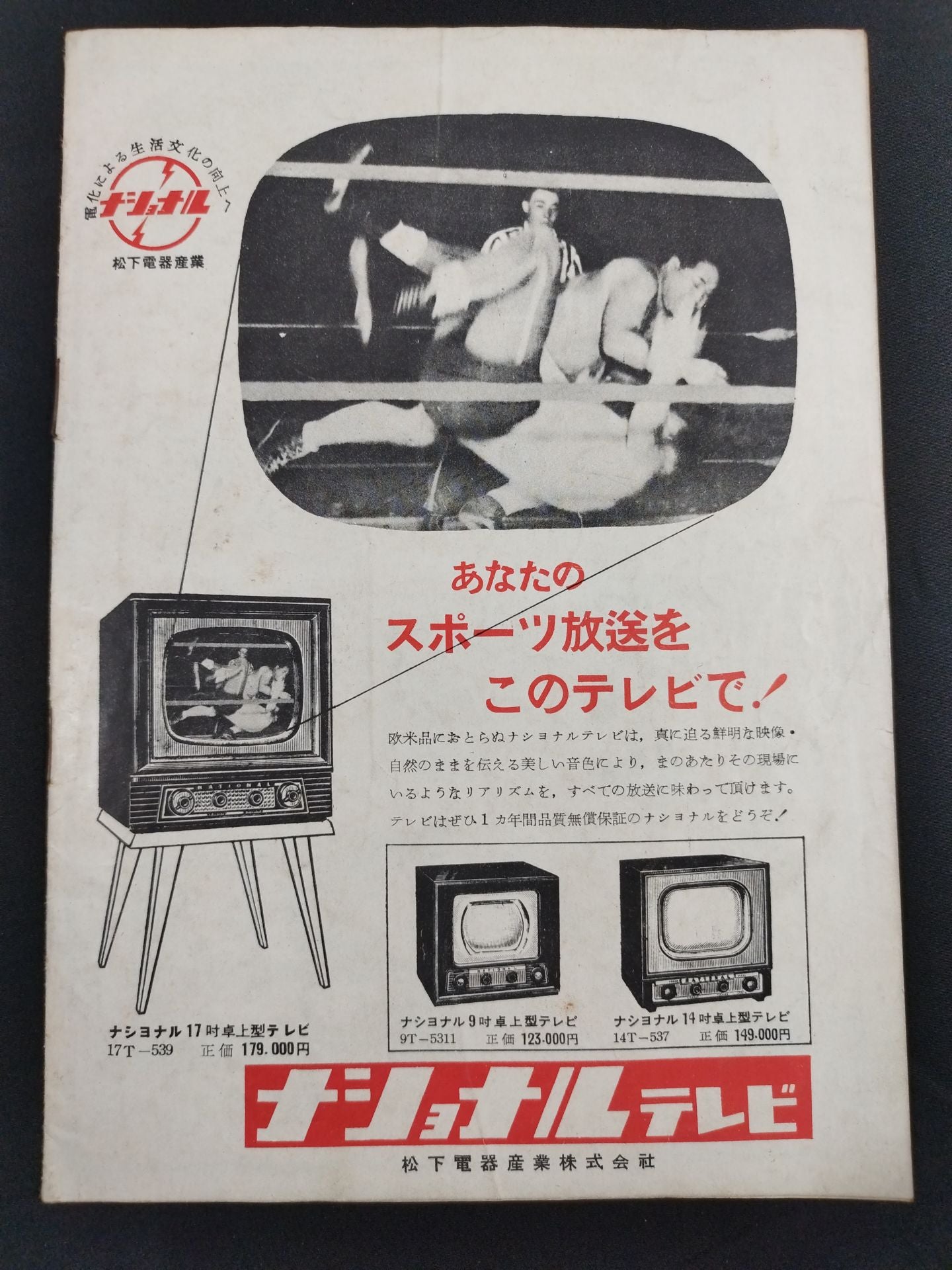 全日本プロレス協会 旗揚げパンフレット – 闘道館