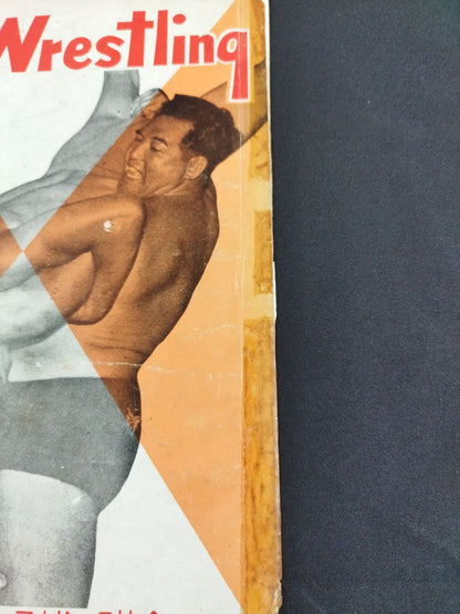 全日本プロレス協会 / マナスル登山基金募集 プロレス国際大試合