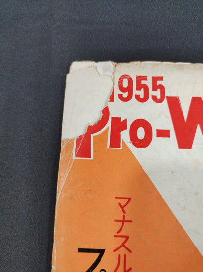 全日本プロレス協会 / マナスル登山基金募集 プロレス国際大試合