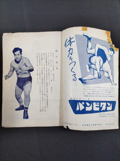 全日本プロレス協会 / マナスル登山基金募集 プロレス国際大試合