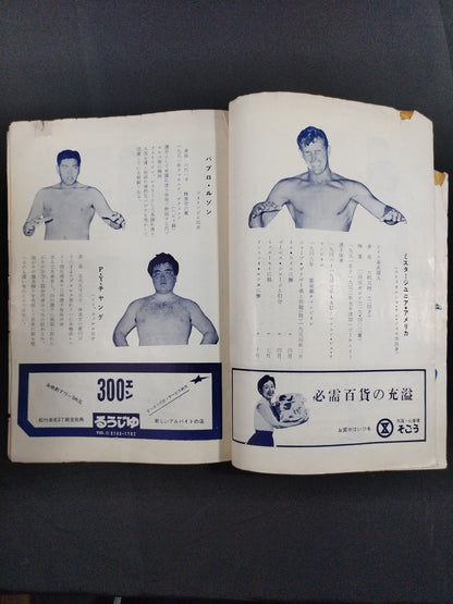 全日本プロレス協会 / マナスル登山基金募集 プロレス国際大試合