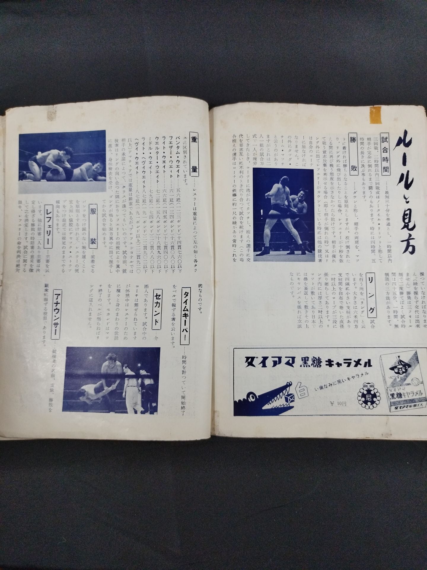 全日本プロレス協会 / マナスル登山基金募集 プロレス国際大試合