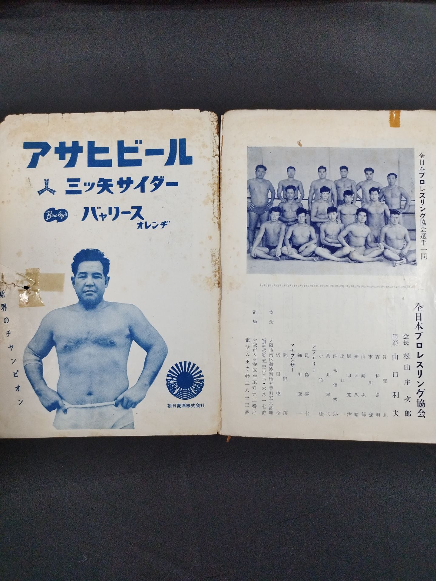 全日本プロレス協会 / マナスル登山基金募集 プロレス国際大試合