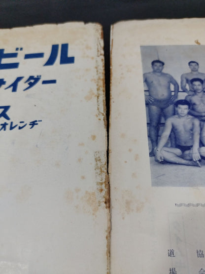 全日本プロレス協会 / マナスル登山基金募集 プロレス国際大試合