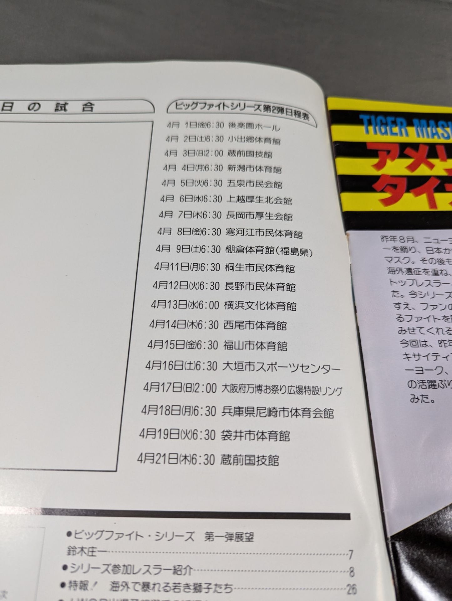 THE WRESTLER Big Fight Series Vol.2 Vol.16
