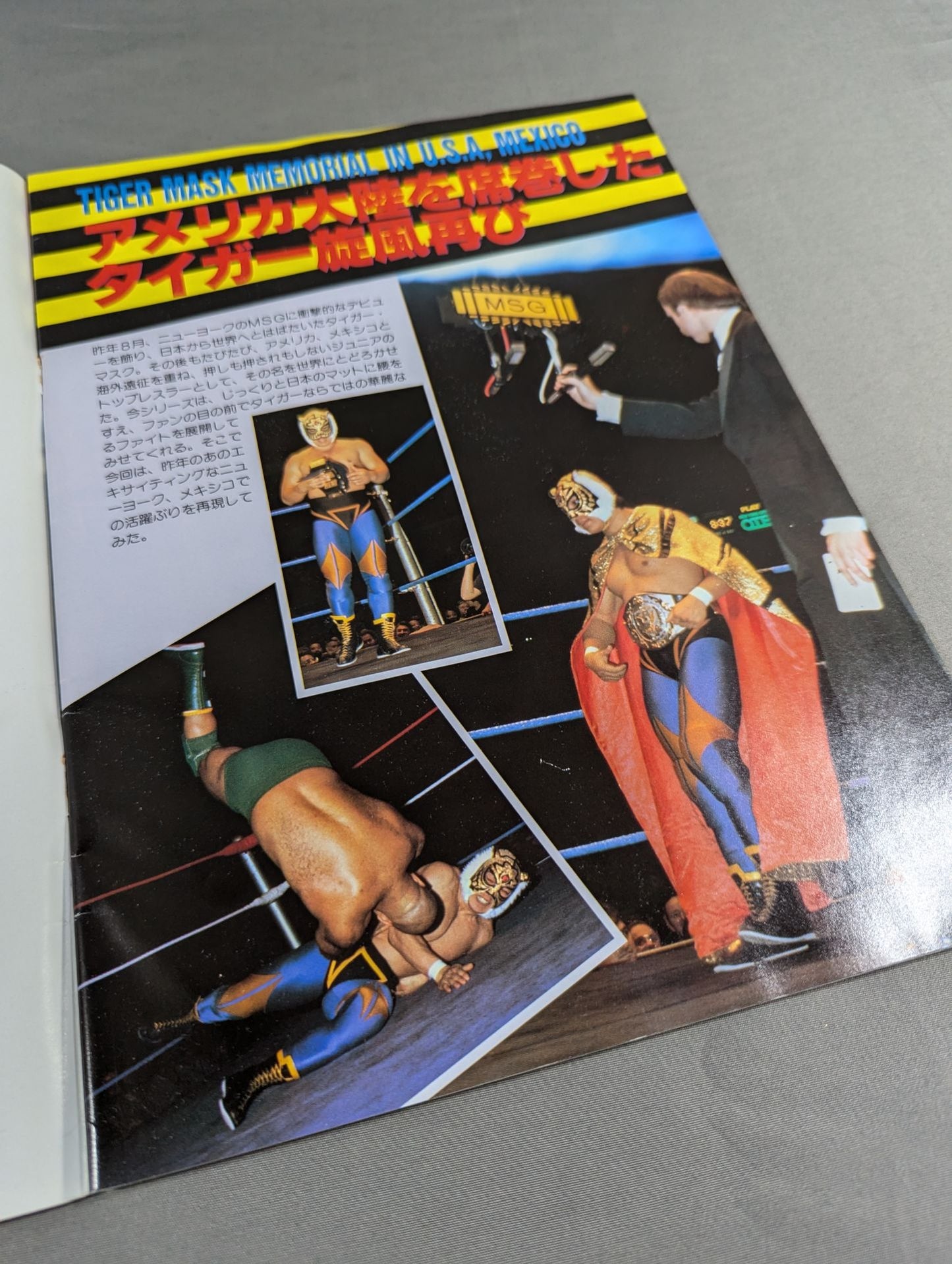 THE WRESTLER Big Fight Series Vol.2 Vol.16