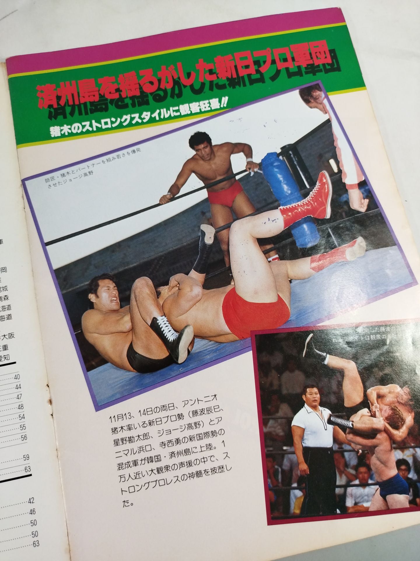 THE WRESTLER New Year Golden Series Vol.6