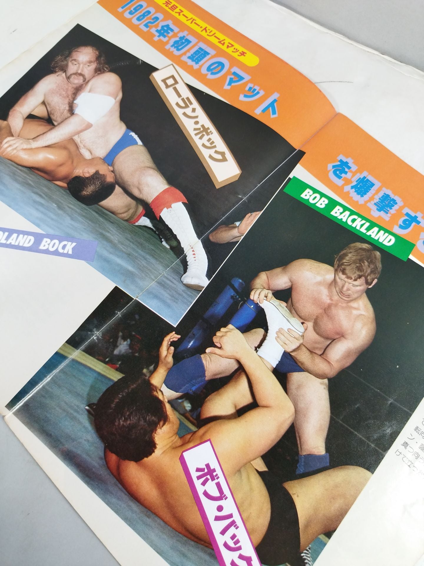 THE WRESTLER New Year Golden Series Vol.6
