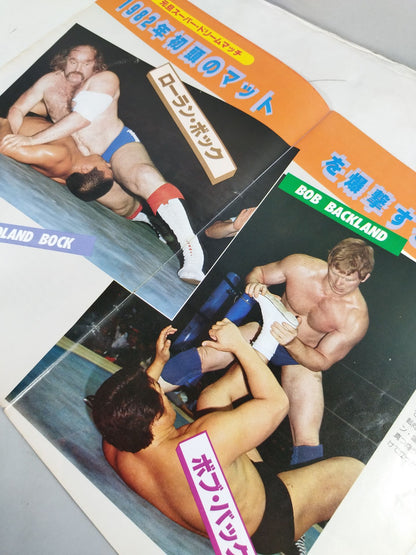 THE WRESTLER New Year Golden Series Vol.6