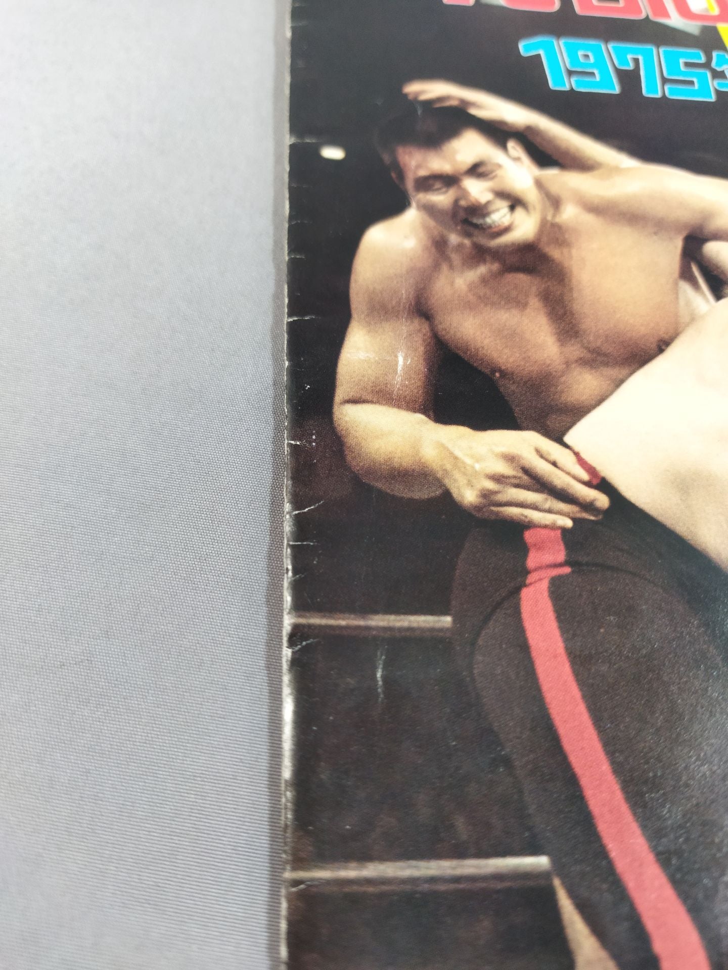 75ビッグファイトシリーズ