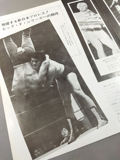 75ビッグファイトシリーズ