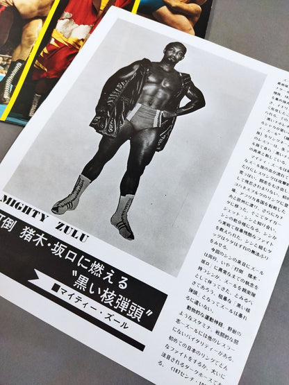 75ビッグファイトシリーズ