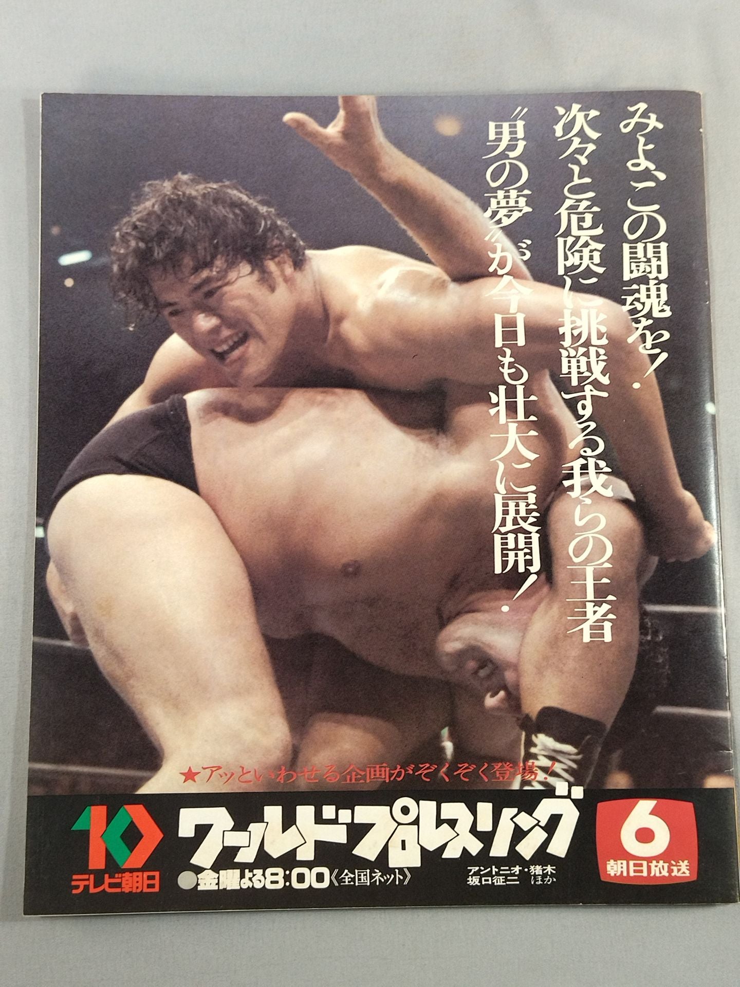 79ビッグファイトシリーズ