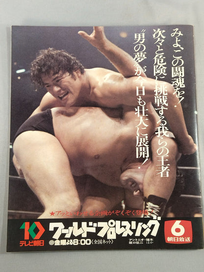 79ビッグファイトシリーズ