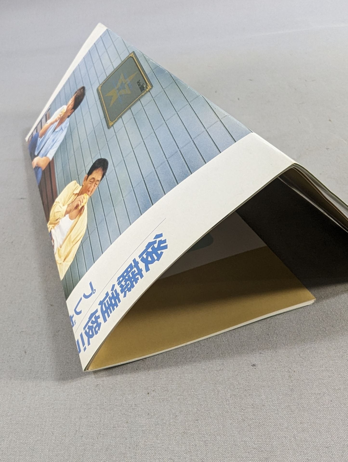 Fighting Spirit Warrior Magazine (TS MAGAZINE) Vol.6 / Kanemoto vs Otani Special Feature