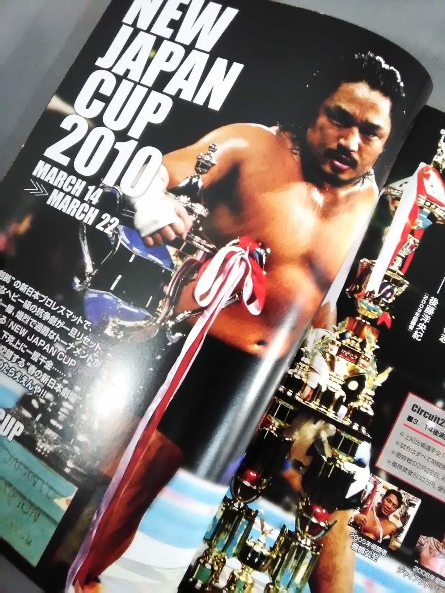 NJPW OFFICIAL MAGAZINE 2010 Vol.2