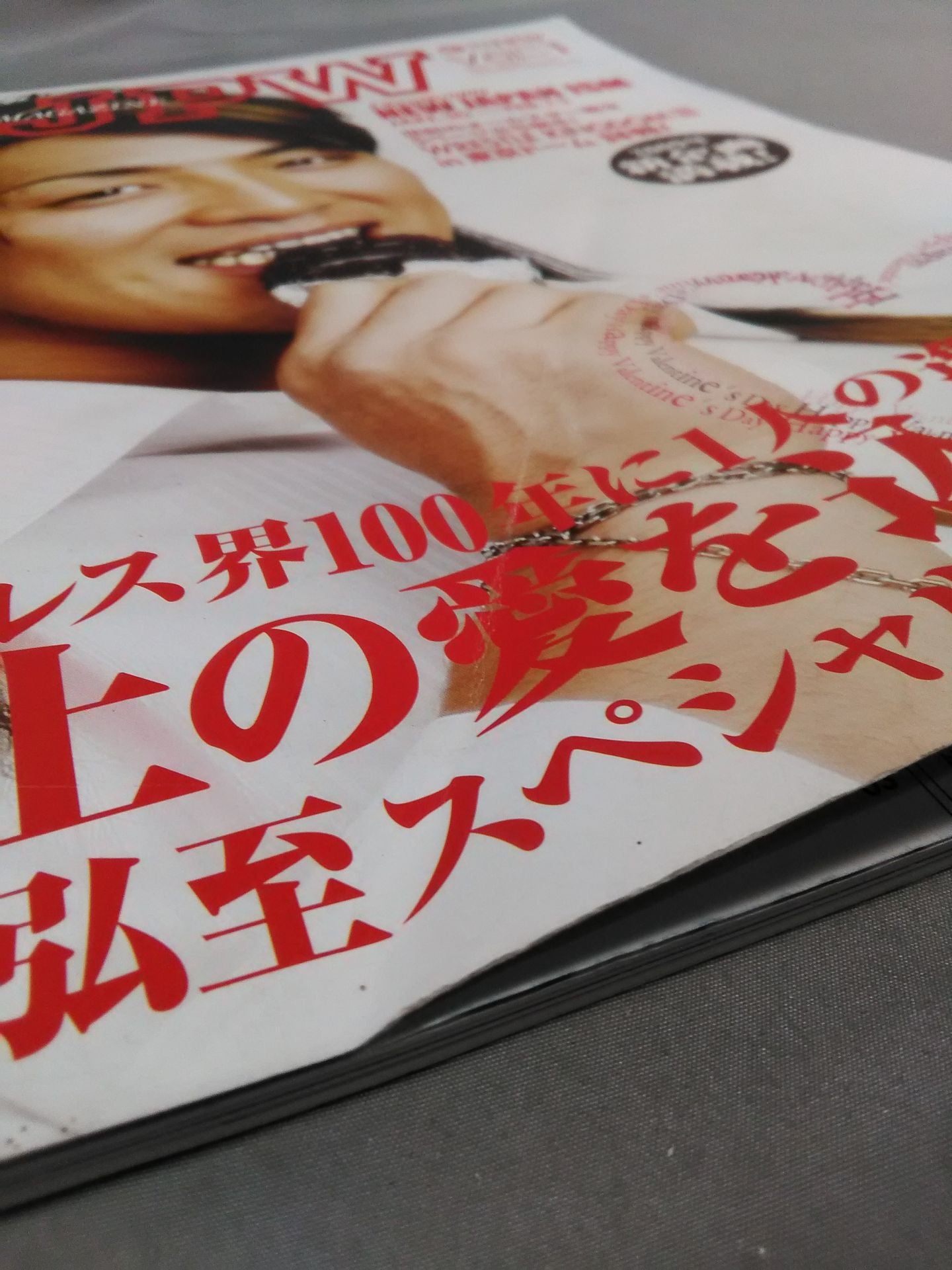 NJPW OFFICIAL MAGAZINE 2009 Vol.1