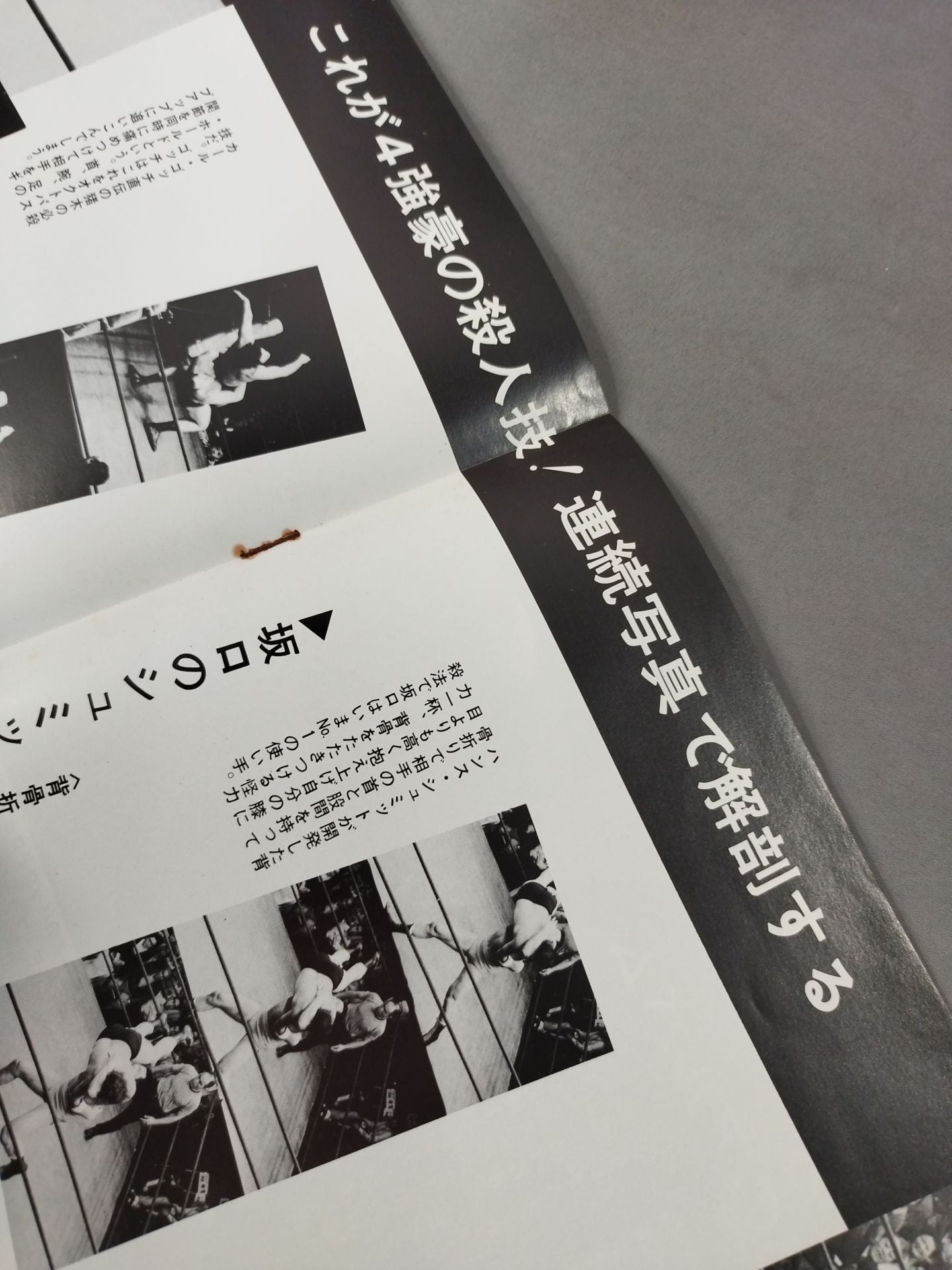 ★ Sakaguchi & Inoki vs Gotch & Thesz ★ Real World Tag League