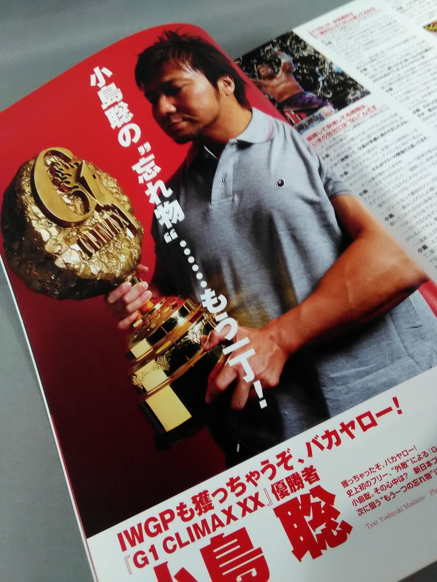 NJPW OFFICIAL MAGAZINE 2010 Vol.6