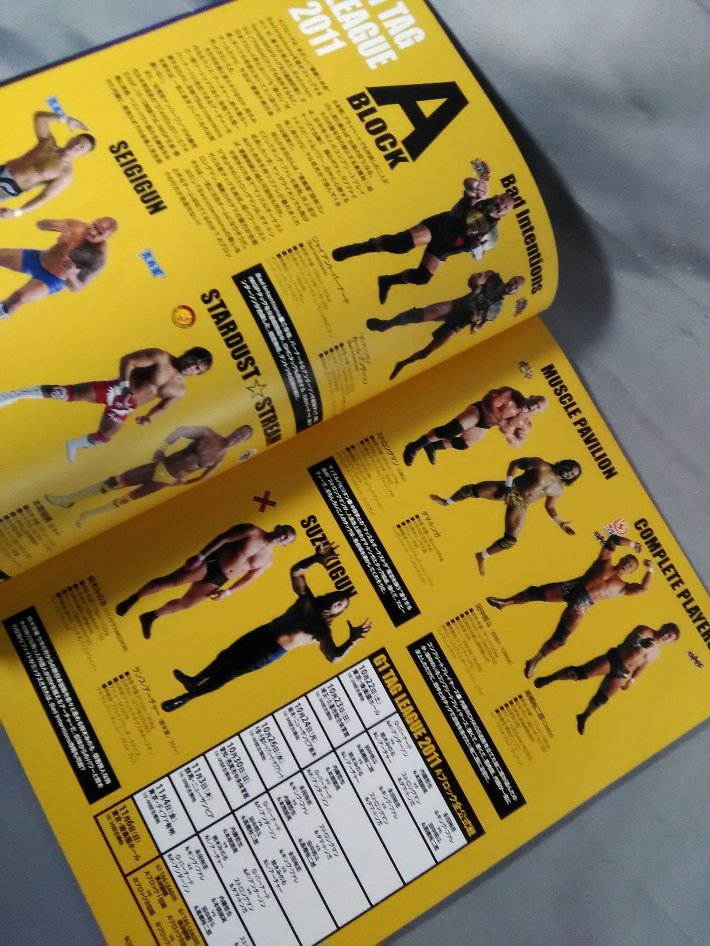 NJPW OFFICIAL MAGAZINE 2011 Vol.7