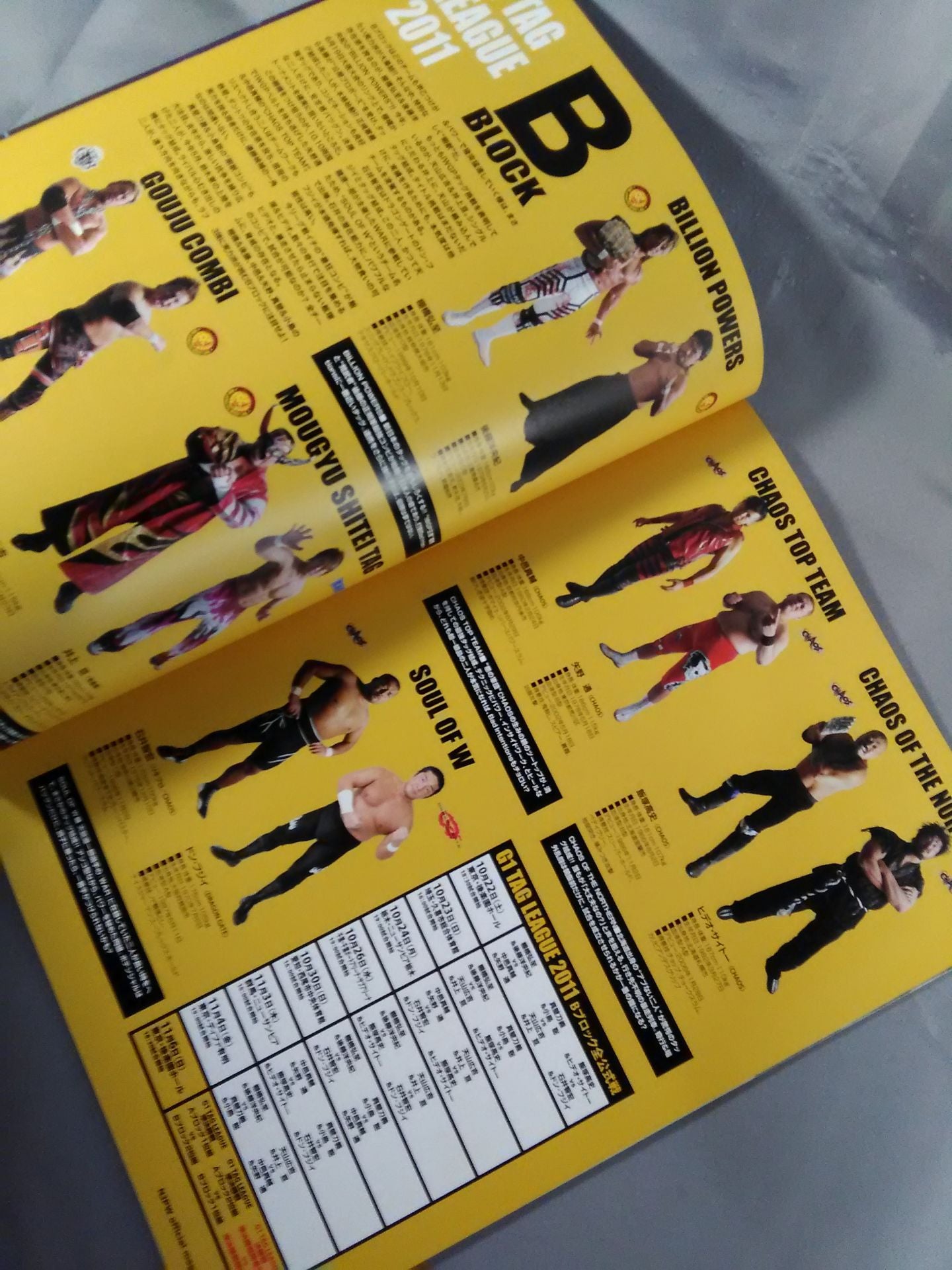 NJPW OFFICIAL MAGAZINE 2011 Vol.7