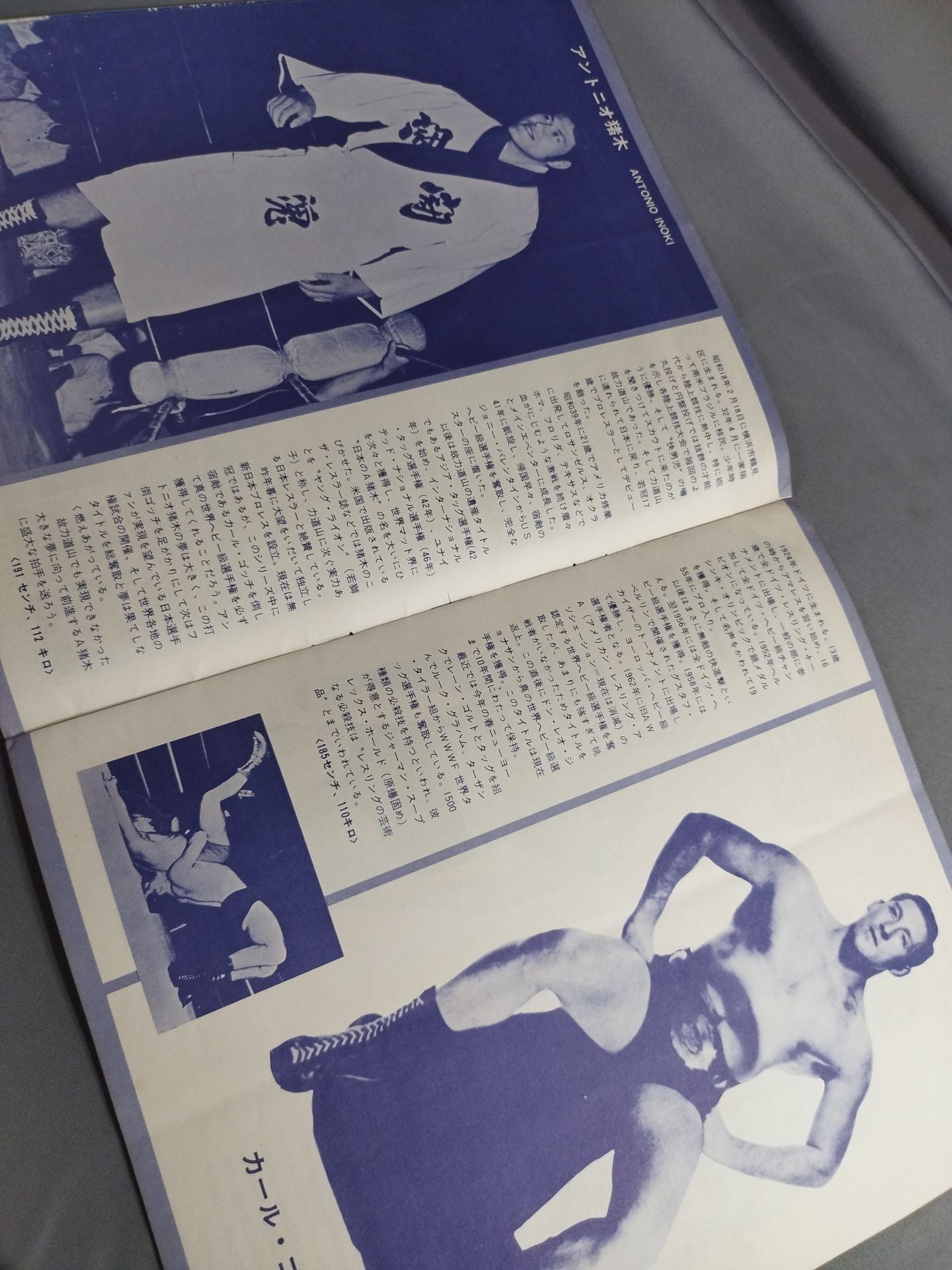 72ニューゴールデン・シリーズ / 世界選手権記念号