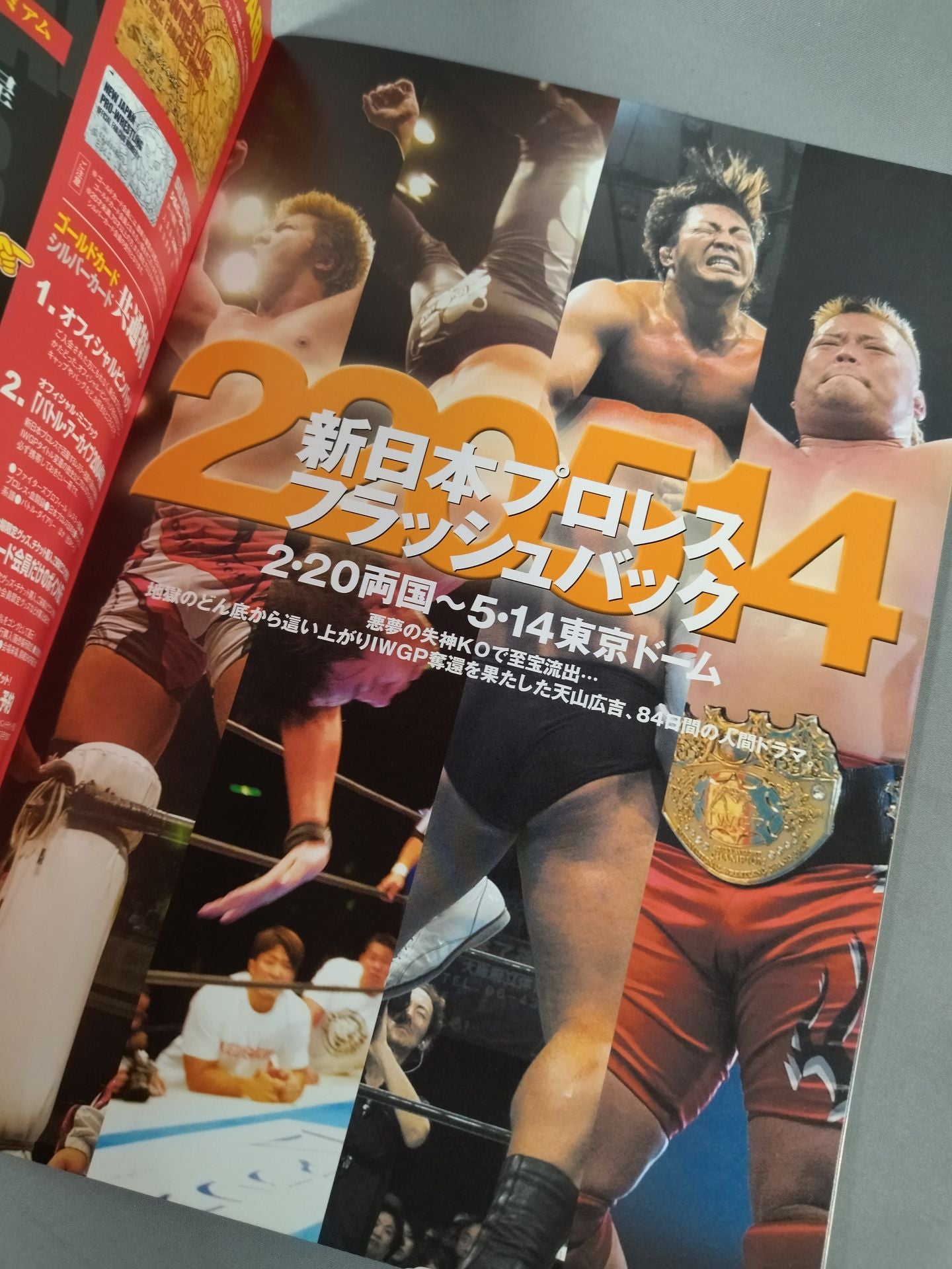 SUMMER FIGHT SERIES 2005